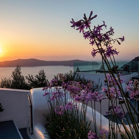 Santorini View Studios - Firostefani Caldera Eksteriør billede
